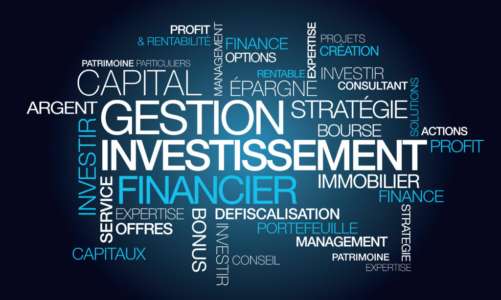 Gestion investissement financier nuage de mots illustration